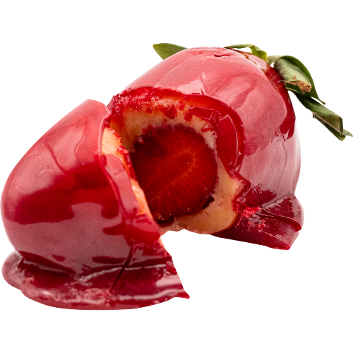 Start 13go lutego w piątek, Kongres Dobrego Seksu Start 13go lutego w piątek, Kongres Dobrego Seksu