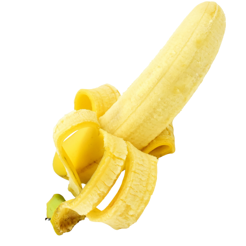 Bilet Liźnij, Kongres Dobrego Seksu Bilet Liźnij, Kongres Dobrego Seksu