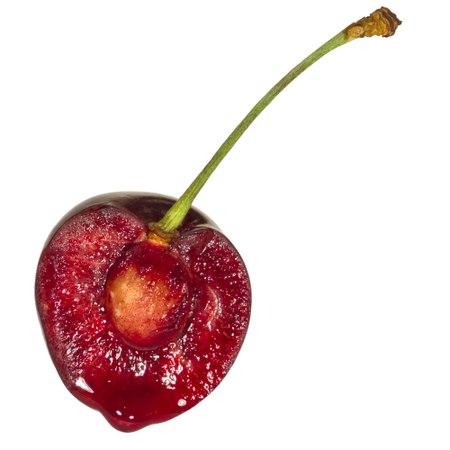 Bilet Kochaj się, Kongres Dobrego Seksu Bilet Kochaj się, Kongres Dobrego Seksu