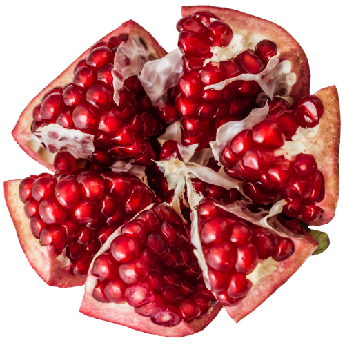 Kongres Dobrego seksu, Spotkamy różne głosy i doświadczenia, by wspólnie – z czułością, odwagą i szacunkiem – odkrywać bogactwo ludzkiej seksualności. Razem poszerzamy naszą pojemność na przyjemność, intymność i miłość. Kongres Dobrego seksu,Spotkamy różne głosy i doświadczenia, by wspólnie – z czułością, odwagą i szacunkiem – odkrywać bogactwo ludzkiej seksualności. Razem poszerzamy naszą pojemność na przyjemność, intymność i miłość.