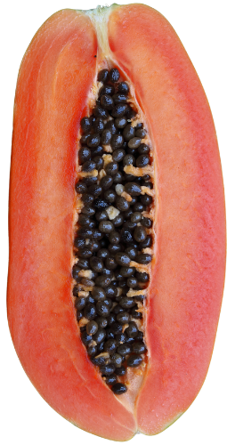 Czy Kongres Dobrego Seksu jest dla Ciebie? Czy Kongres Dobrego Seksu jest dla Ciebie?