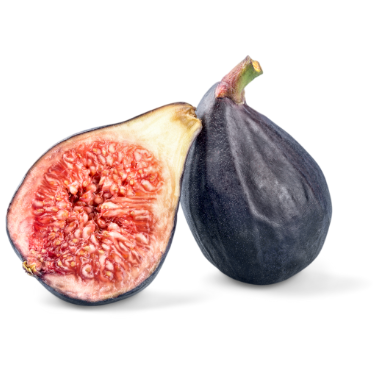 Kongres Dobrego Seksu, Wejdź w świat, gdzie przyjemność spotyka wiedzę, a śmiech, ekstaza i łzy przeplatają się by ujawnić naszą naturalną i niewinną ekspresję seksualną. Kongres Dobrego Seksu, Wejdź w świat, gdzie przyjemność spotyka wiedzę, a śmiech, ekstaza i łzy przeplatają się by ujawnić naszą naturalną i niewinną ekspresję seksualną.